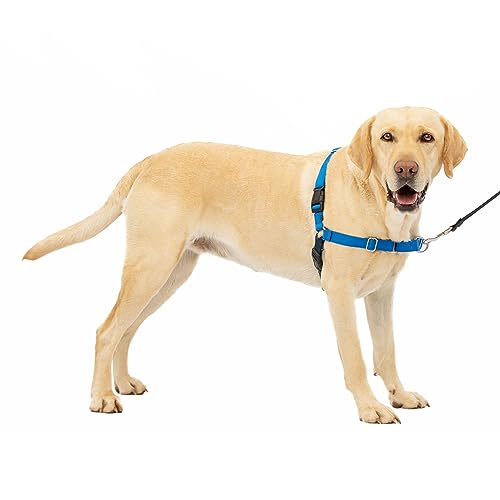 PetSafe Easy Walk Harness, No Pull Dog Harness, Royal Blue, Large | Patented Martingale Loop Gives Gradual Shoulder Pressure to Stop Pulling, Front-Chest Leash Clip Prevents Gagging