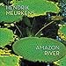 Song Amazon River by Hendrik Meurkens on Amazon River at Amazon