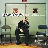 You Can't Imagine How Much Fun We're Having (2005)