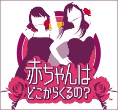 【DS】ニンテンドーDSの名作・パズル・テーブルゲーム人気投票＆ランキング【PZL・TBL】　7位　赤ちゃんはどこからくるの?の画像