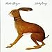 Song Turning Backs by Vashti Bunyan on Lookaftering at Amazon