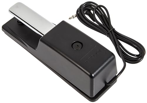 ローランド DP-10
