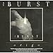 Song Homebound by Burst on Origo at Amazon