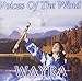 Song Rainbow Canyon by Wayra on Voices of the Wind at Amazon