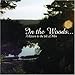 Song Wings Of My Dreamland by In The Woods on Return to the Isle of Men at Amazon