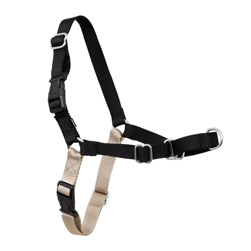PetSafe Easy Walk Harness Review