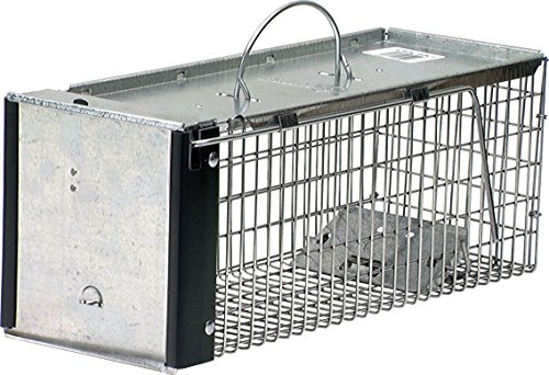 Havahart humane live animal trap product photo