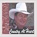 Song Can't Stop Falling In Ilove by Bruce Greaves on Country at Heart at Amazon