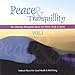 Song Garden of Bliss by Guido Negraszus on Peace &amp; Tranquillity, Vol. 1 at Amazon