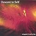 Song To Die on Ice by Krispen Hartung on Descent to Self at Amazon