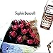 Song This Time by Sophie Bancroft on Modern Love at Amazon