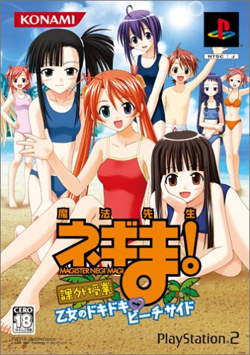【PS2】プレイステーション2のアドベンチャー・ゲーム人気投票【ADV】　324位　魔法先生ネギま! 課外授業 乙女のドキドキ・ビーチサイドの画像