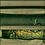 The Flatlands (1998)