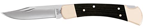 Buck Knives 110 Folding Hunter Knife, 3-3/4" Blade, Lockback Design, Ebony Handle, Brass Bolsters, 420HC Stainless Steel Clip Point Blade, Sheath Included, Hunting Knife Made in the USA, 7.2 oz