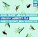 Song Tempo andante ma rubato by Mariss Jansons on Sibelius: Symphony No. 2 at Amazon