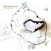 Song A Small Crusade by The New Amsterdams on Story Like a Scar at Amazon