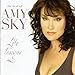Song Love Pain And The Whole Damn Thing by Amy Sky on Life Lessons: The Best of Amy Sky at Amazon
