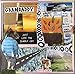 Song Campershell Dreams by Grandaddy on Just Like the Fambly Cat at Amazon