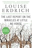 The Last Report On The Miracles At Little No Horse A Novel English Edition
