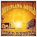 Song Letter From Iraq by Bouncing Souls on The Gold Record at Amazon