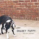 The Only Constant (2006)