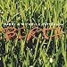 Song Slow Down by Barry and Michelle Patterson on Birth at Amazon