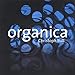 Song Fugue in D Minor by Christoph Bull on Organica at Amazon