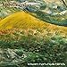 Song Most Absurd Landscape by Krispen Hartung on Xperimentus at Amazon