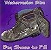 Song I Got a Problem by Watermelon Slim on Big Shoes to Fill at Amazon