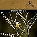 Song Song Of The Forest by Brian Hardin on Songbirds at Amazon