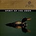 Song Evening At Peace by Brian Hardin on Spirit Of The Loon at Amazon