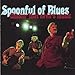 Song Boogie Now by Spoonful Of Blues on Chasin' That Devil's Music at Amazon