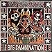 Song Another Bottle by The Reverend Peyton's Big Damn Band on Big Damn Nation at Amazon
