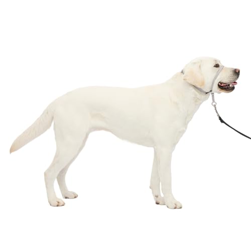 PetSafe Gentle Leader Headcollar - No-Pull Dog Collar for Better Walks - Adjustable for Snout-Specific Fit - Comfortable Head Harness - Large - Silver