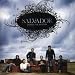 Song Waterfall by Salvador on Dismiss the Mystery at Amazon