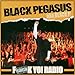 Song Bonus: I Got Next by Black Pegasus on F**k Yo! Radio at Amazon