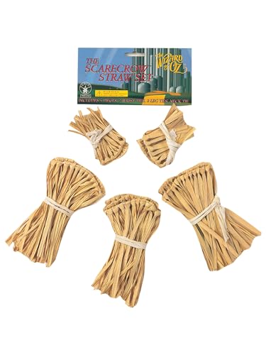 Rubies The Wizard of Oz: Scarecrow Straw Accessory Kit for Kids or Adults, Unisex No Size
