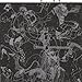 Song Dark Falcon by Lucky Dragons on Widows at Amazon
