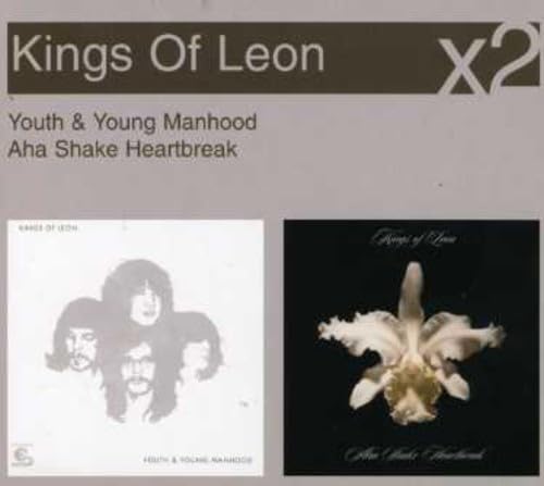 Youth & Young Manhood/Aha Shake Heartbreak