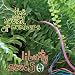 Song La by The New Sound Of Numbers on Liberty Seeds at Amazon