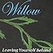 Song Caught Up by Willow on Leaving Yourself Behind at Amazon