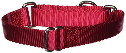PetSafe Adjustable Martingale...hoke Collar - 3/4",Small,Red
