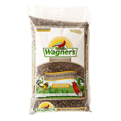 Wagners 62028 Striped Sunflower Seed Wild Bird Food 5-Pound Bag