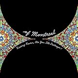 Hissing Fauna, Are You The Destroyer? (2007)