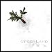 Song Captain Jack by GreenLand on Greenland at Amazon