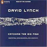 Catching The Big Fish Meditation Consciousness And Creativity