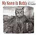 Song Three Chords and the Truth by Ry Cooder on My Name Is Buddy at Amazon