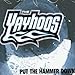 Song Love Train by The Yayhoos on Put the Hammer Down at Amazon