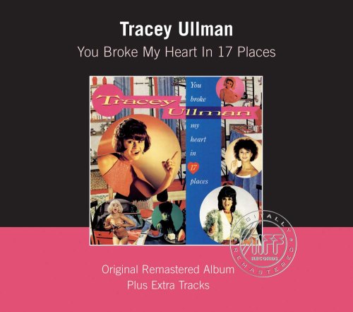You Broke My Heart in 17 Places