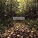 Song Kiss In the Dark by Shipwreck on Walk in the Woods EP at Amazon